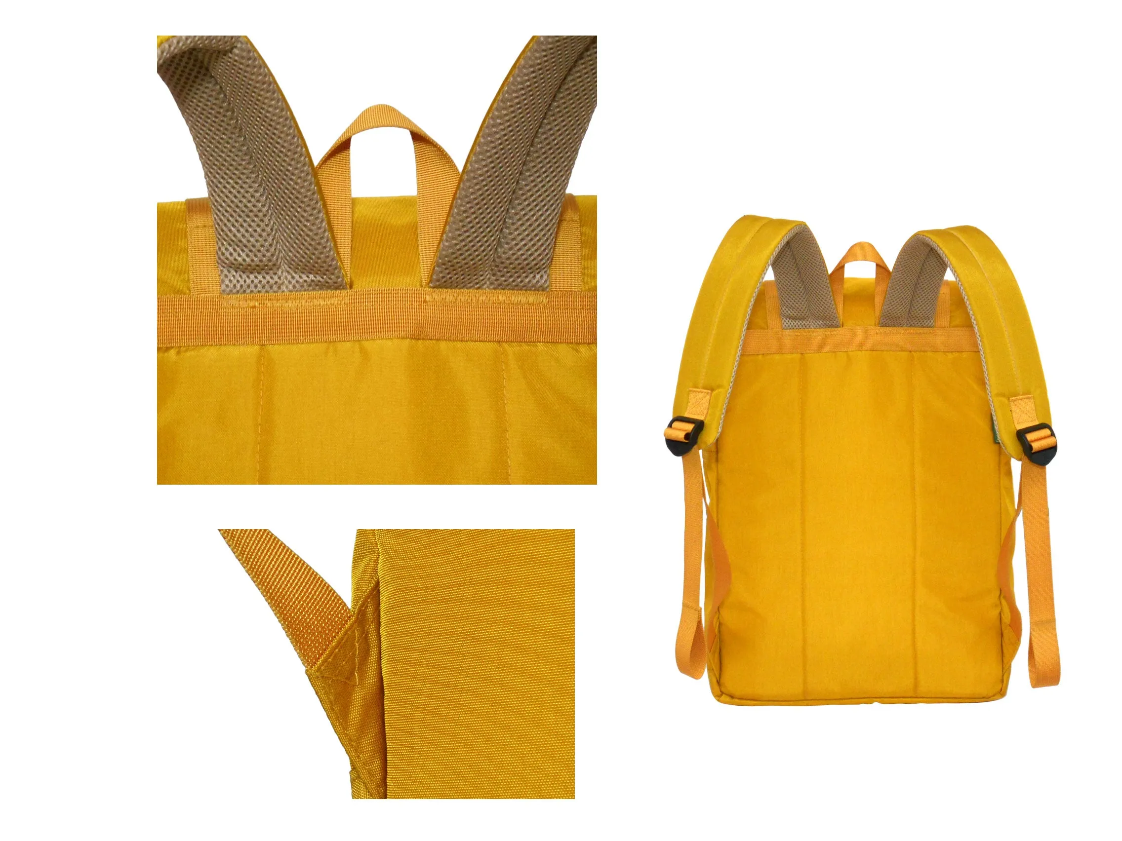 Backpack with Insert Organizer Set, for Travel, Business, College, Casual, Slim and Smart Looking, Women & Men