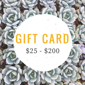 Gift Card