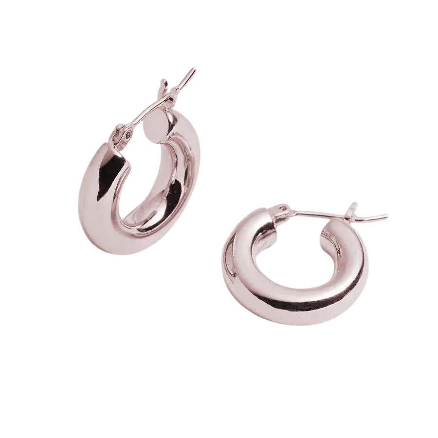 Holly Hollow Hoop Earrings