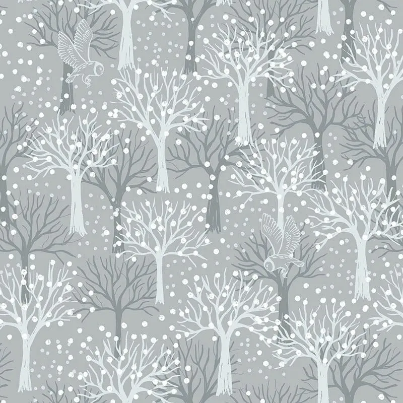 Lewis and Irene The Secret Winter Garden