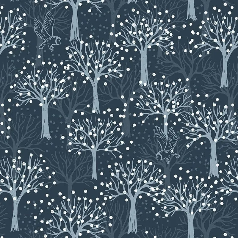 Lewis and Irene The Secret Winter Garden