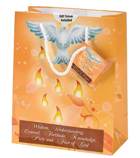 Small Confirmation Gift Bag with Gift Tissue